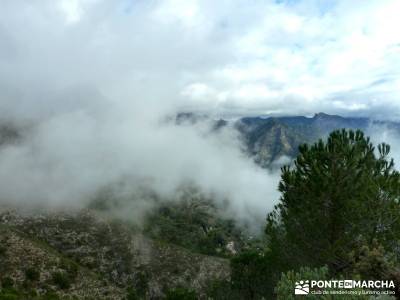 Axarquía- Sierras de Tejeda, Almijara y Alhama; viajes aventura; conocer gente madrid